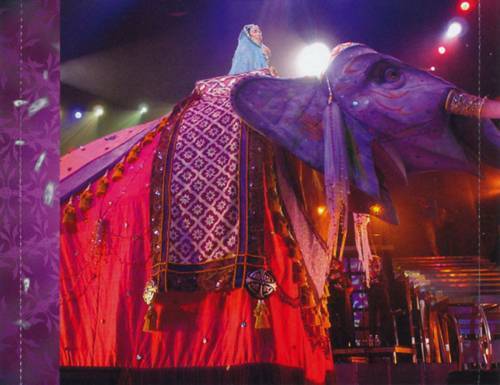 Cher The Farewell Tour Live (2003) : Back